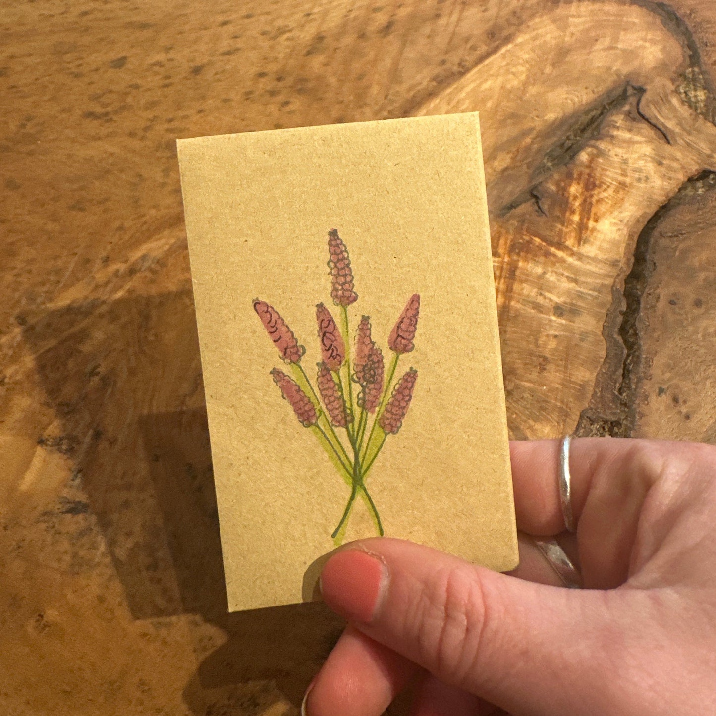 Wildflower Seeds