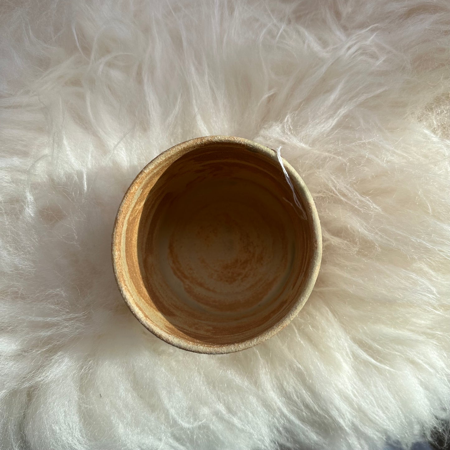Solstice Cup