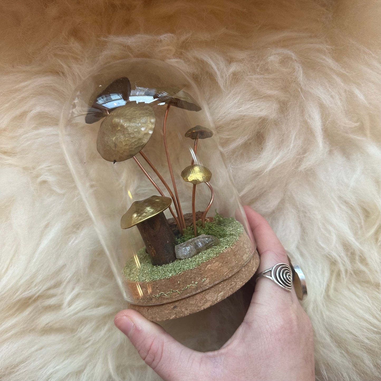 Mushroom Terrariums
