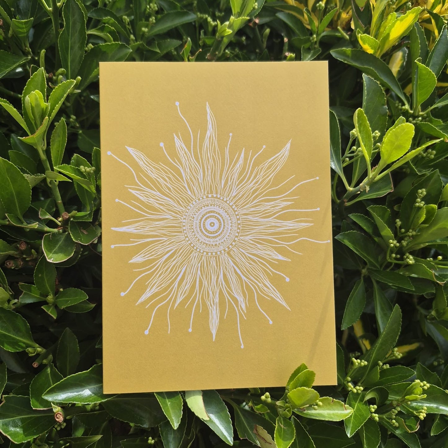 Mandala Greeting Cards