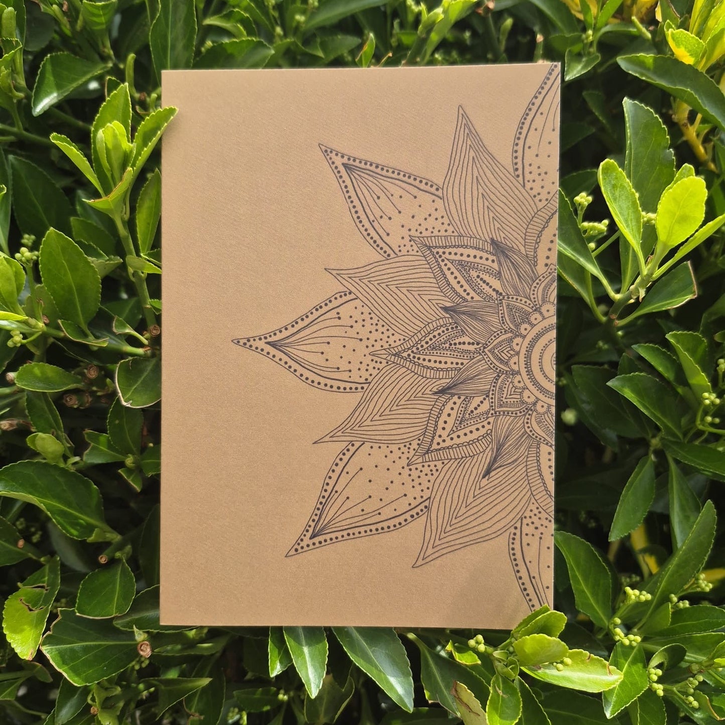 Mandala Greeting Cards
