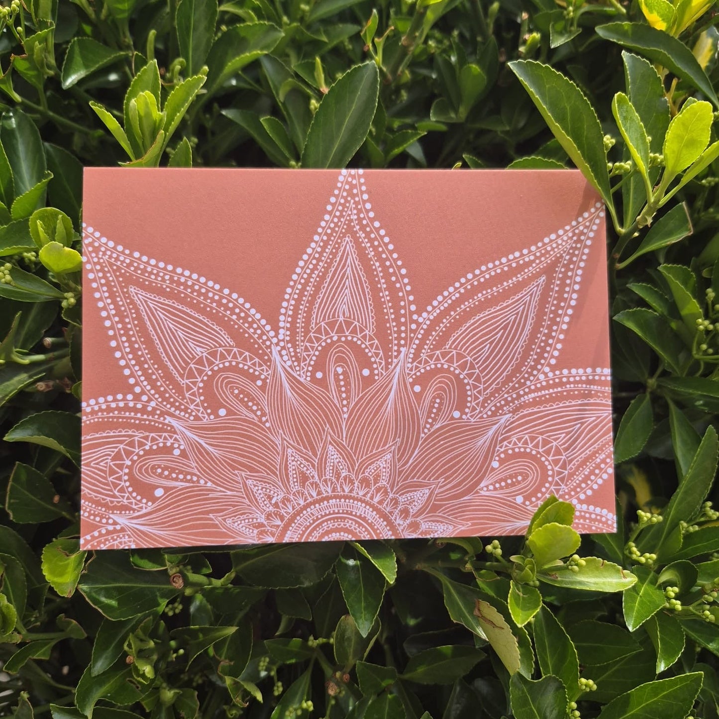 Mandala Greeting Cards