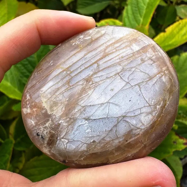 Moonstone Pebbles 4cm+