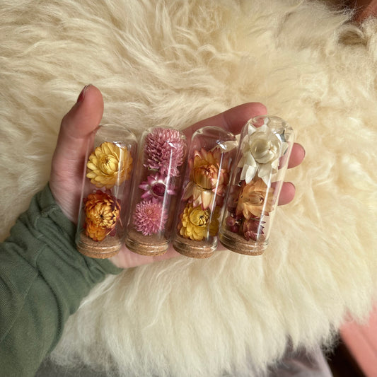 Dried Flower Terraniums