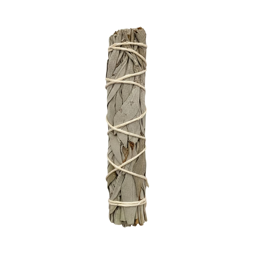 White Sage