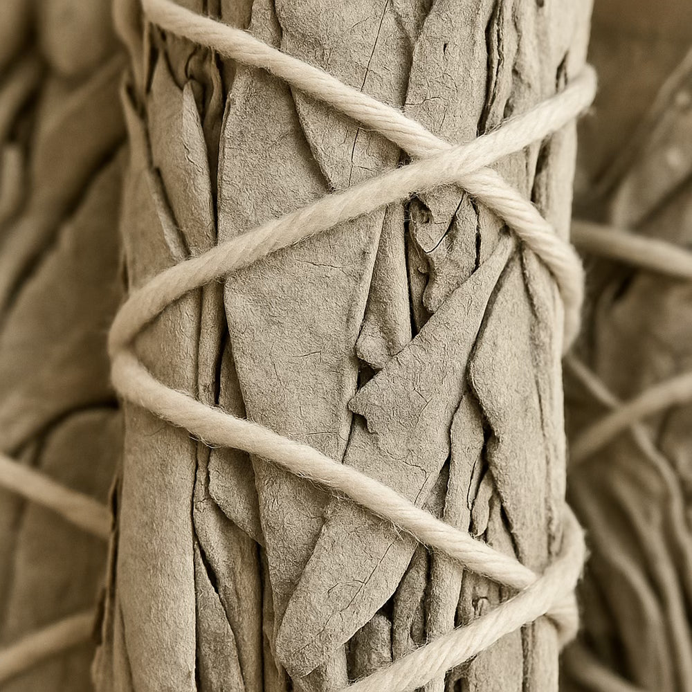 White Sage
