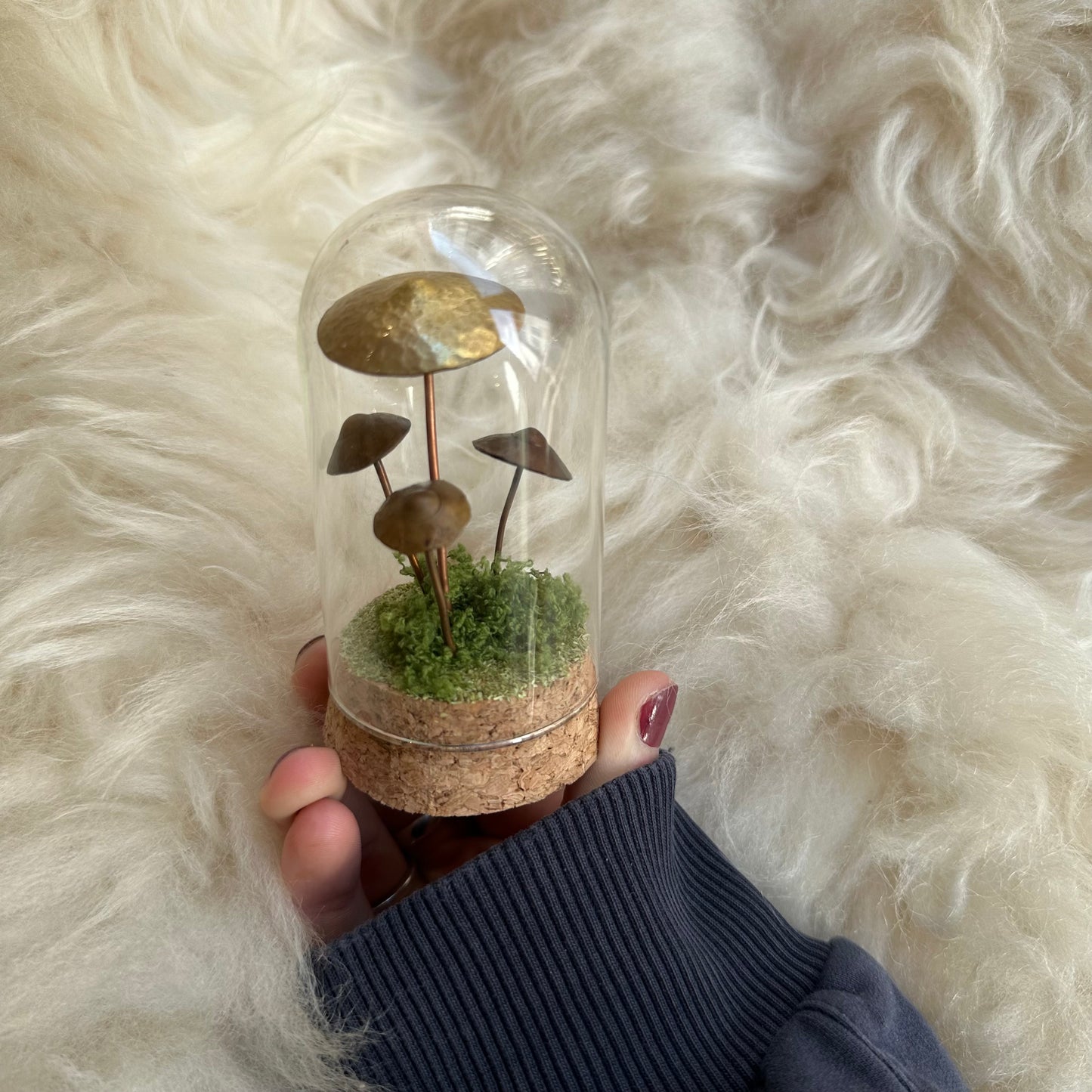 Mushroom Terrariums