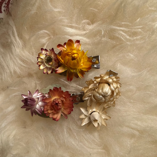Dried Flower Clips