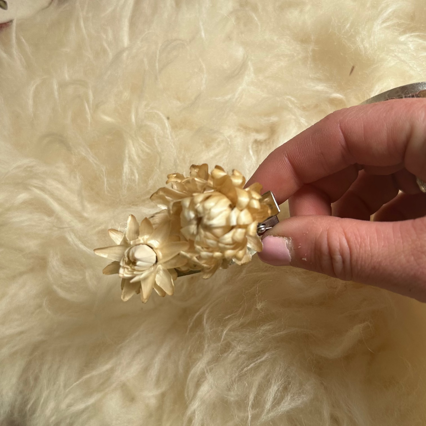 Dried Flower Clips
