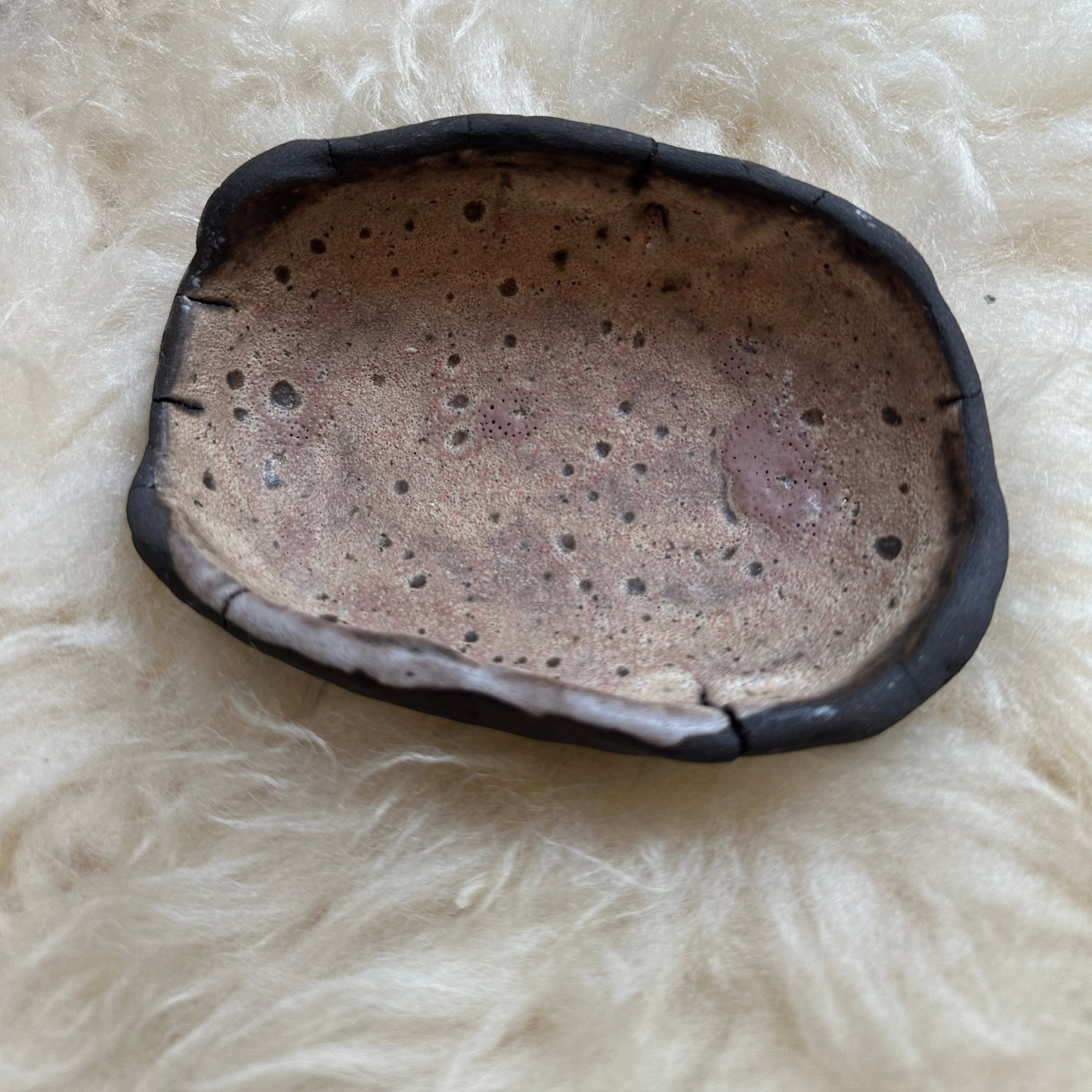 Ocean Soap Dish