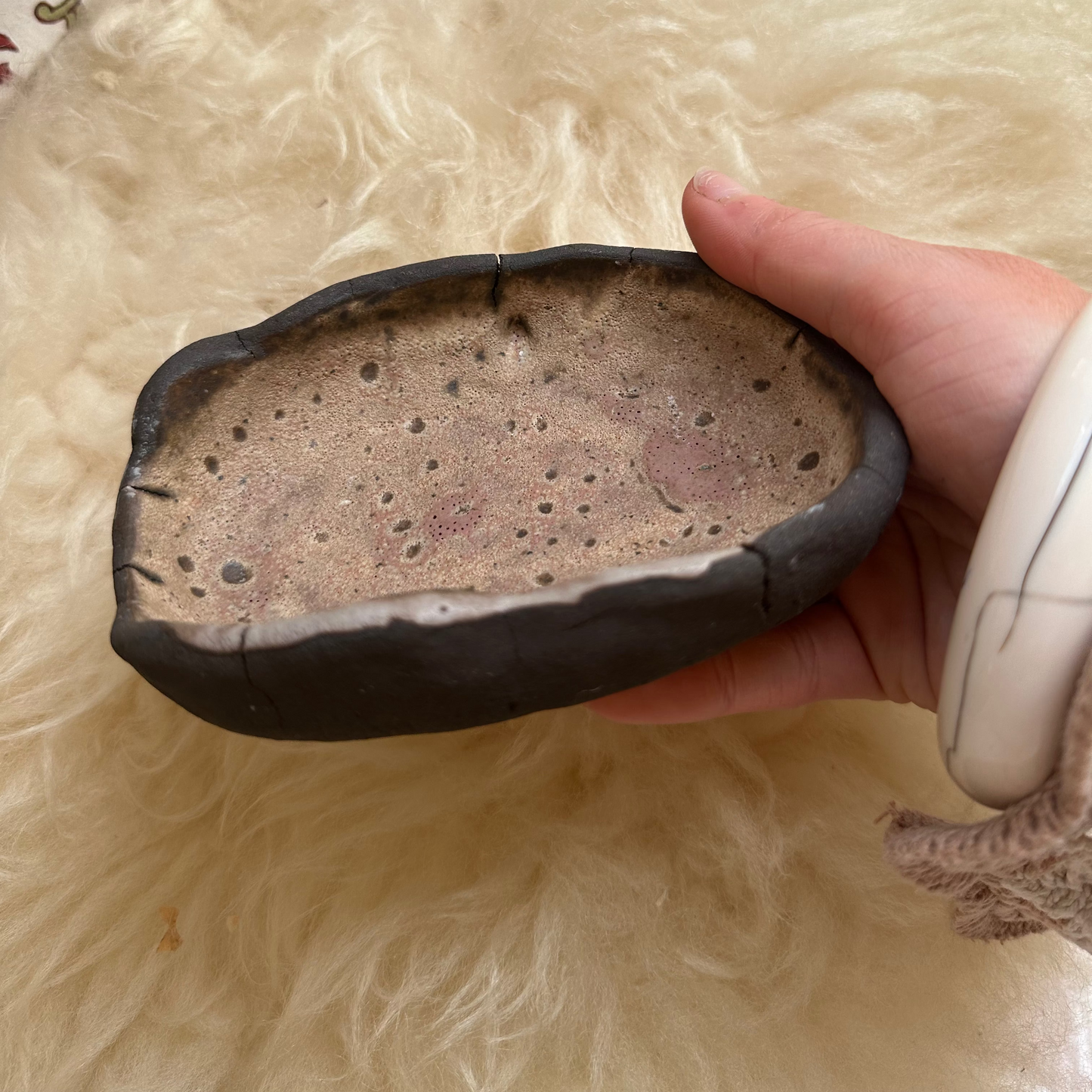 Ocean Soap Dish