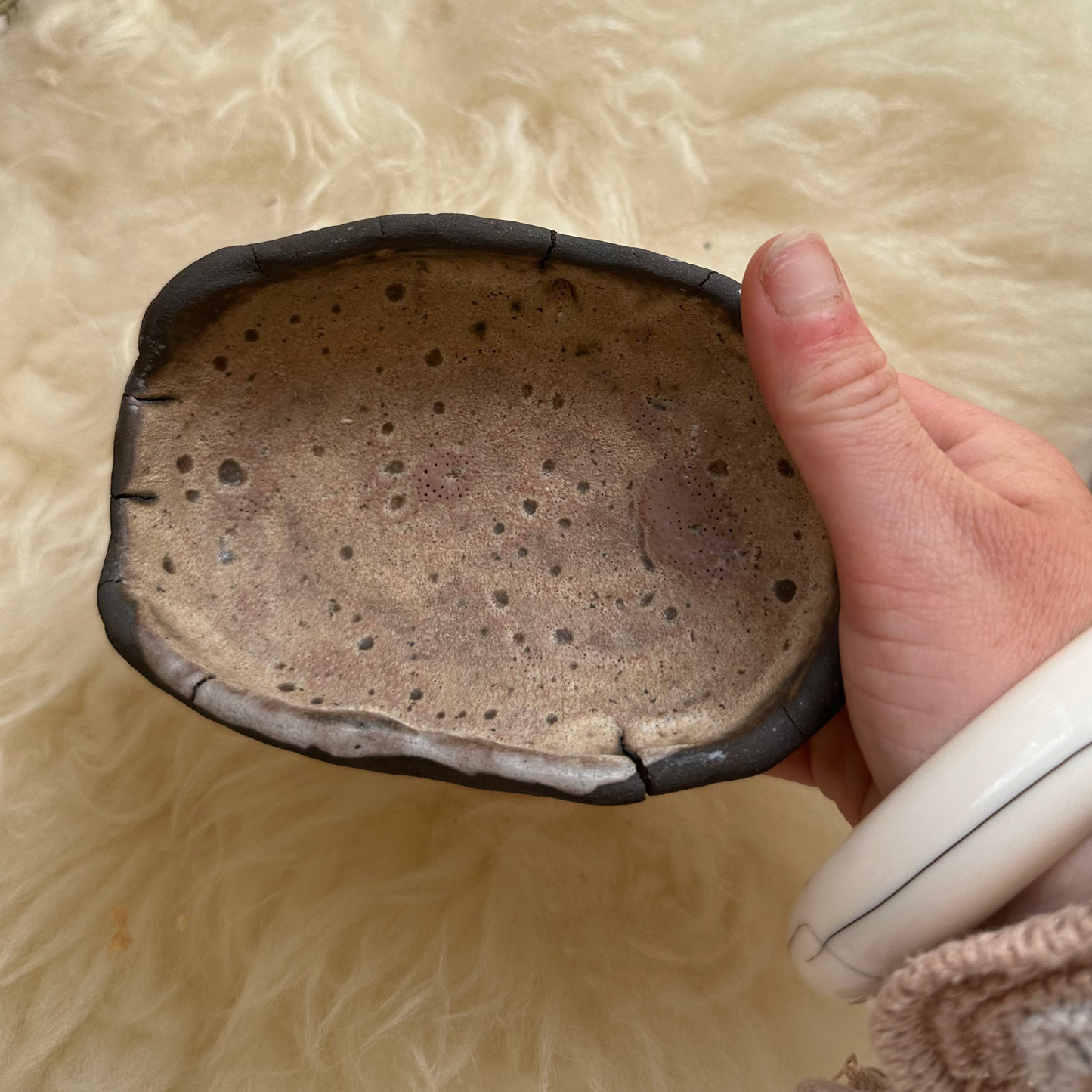 Ocean Soap Dish
