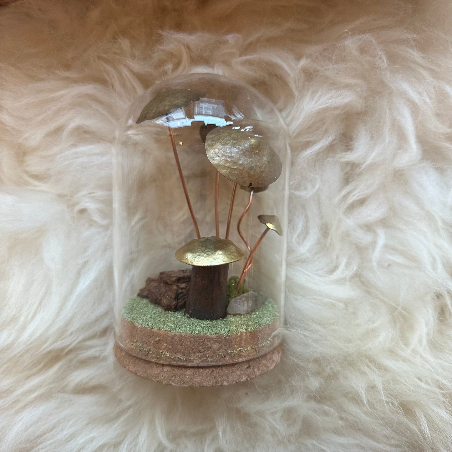 Mushroom Terrariums