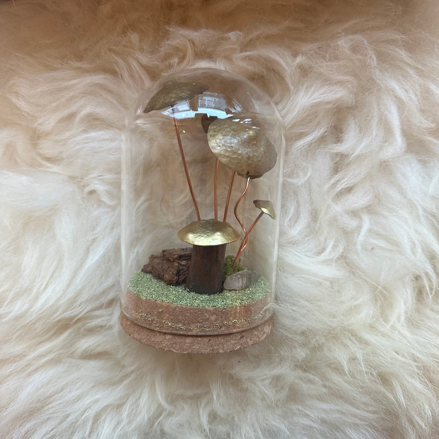 Mushroom Terrariums