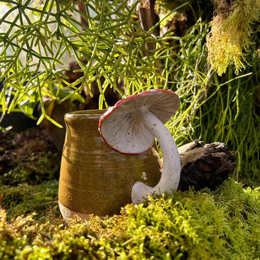 Mushroom Mugs