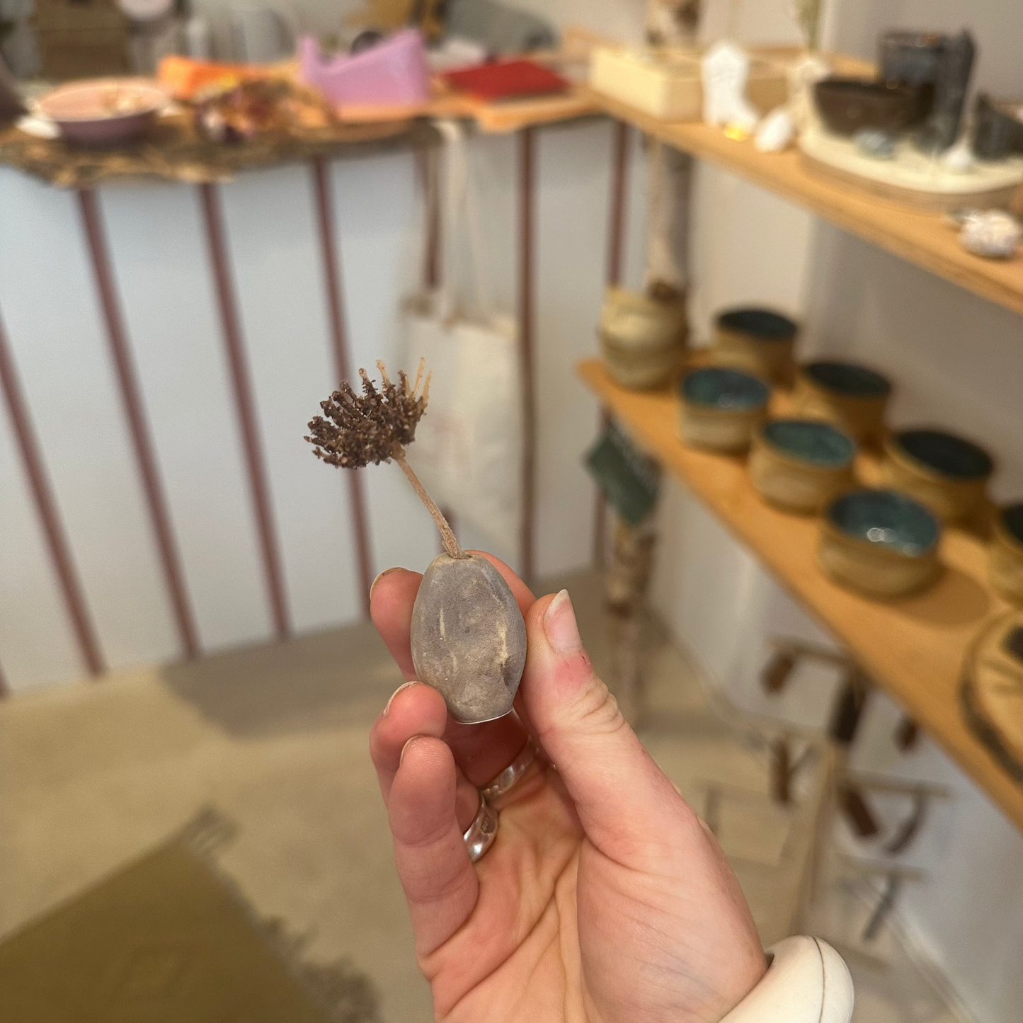 Irregular Shaped Bud Vases