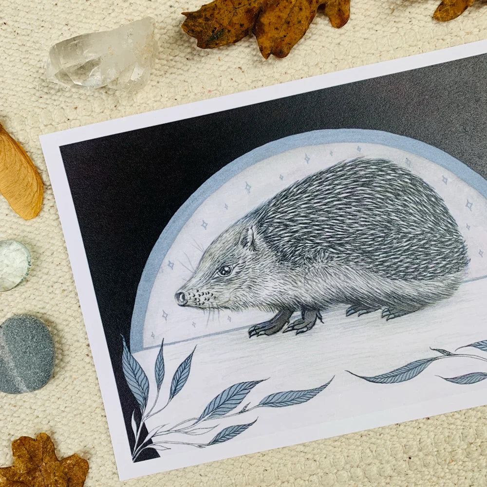 Hedgehog Print