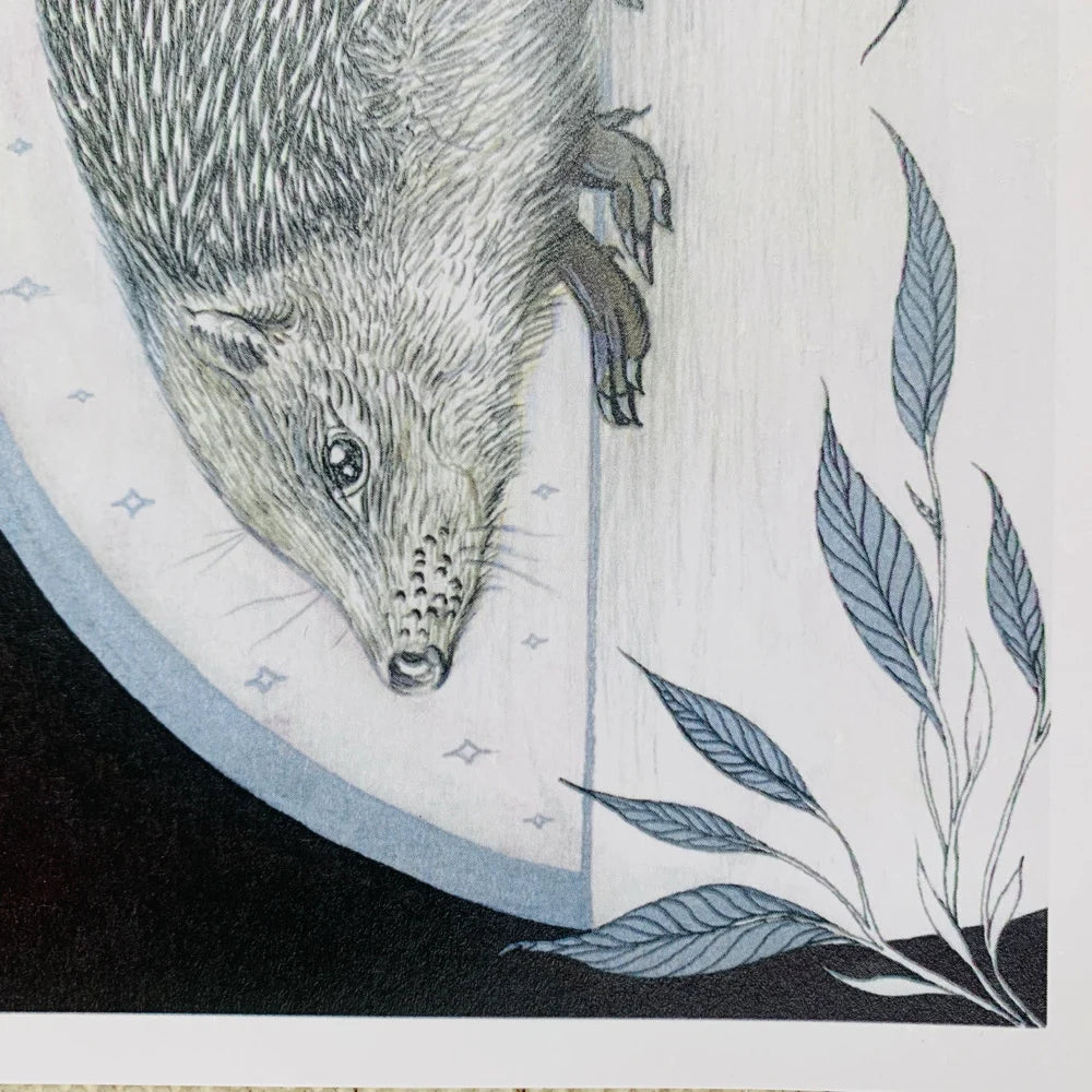Hedgehog Print