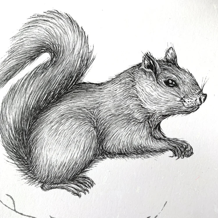 Squirrel Print