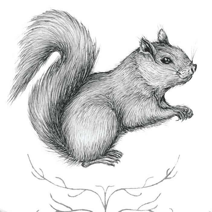 Squirrel Print