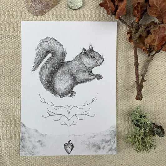 Squirrel Print
