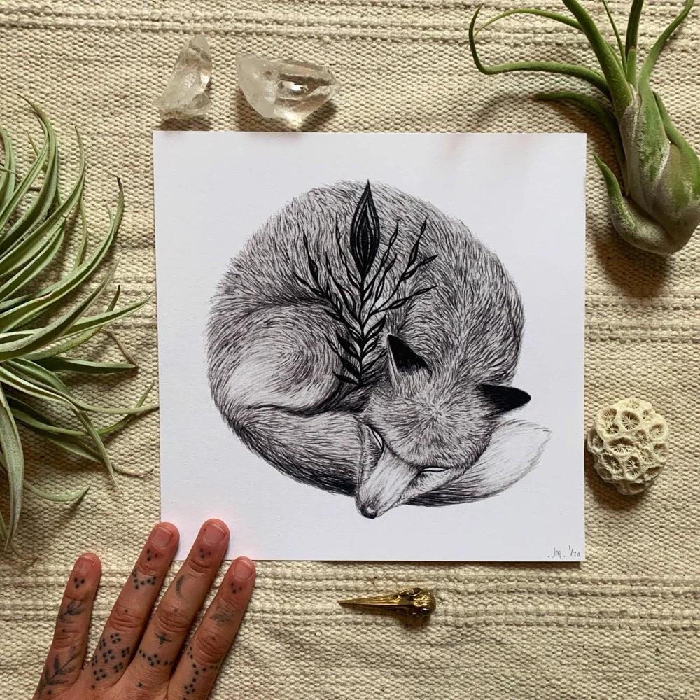 Sleepy Fox Print